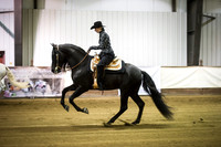 Horse 34