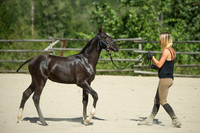 GLUNS_160801_0006