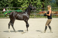 GLUNS_160801_0008