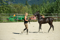 GLUNS_160801_0011