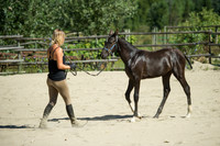 GLUNS_160801_0010