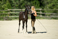 Chelsea and horse
