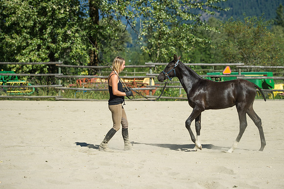 GLUNS_160801_0013