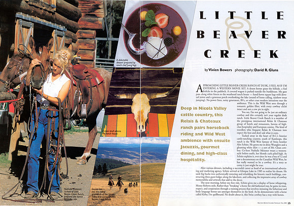 BC Traveller: Little Beaver Creek