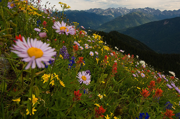 GLUNS_050801_6140