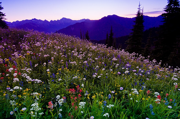 GLUNS_050801_6141